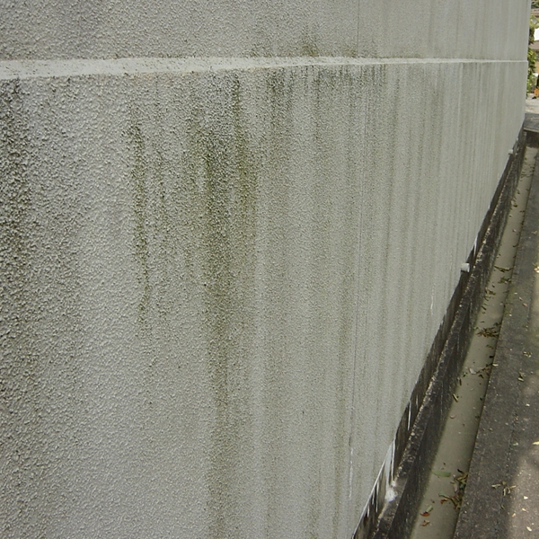 広島県 北広島 MIST工法による 外壁の除カビ施工　Before